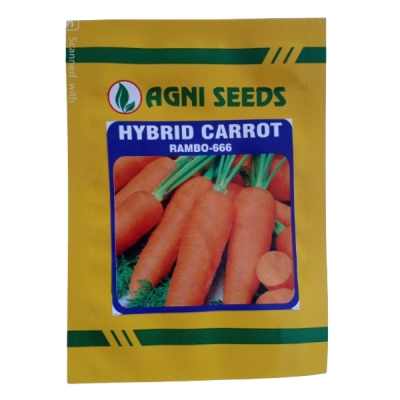 Rambo - Carrot